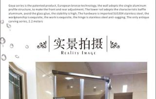 Goya 戈雅 39系列淋浴房實景圖集